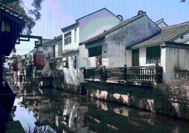 拯救自行车冠军